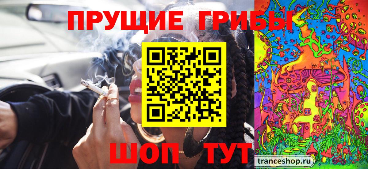 Псилоцибиновые грибы MAGIC MUSHROOMS Минеральные Воды